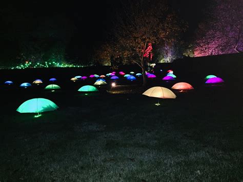 Unveiling Wallingford: Exploring the Magical Light Show